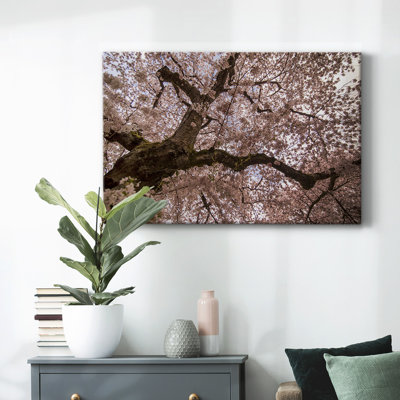 Spring's Arrival-Gallery Wrapped Canvas