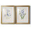 «Blue Botanical I», ensemble de 2 reproductions d'art-2026522010-2026522011-2026522012