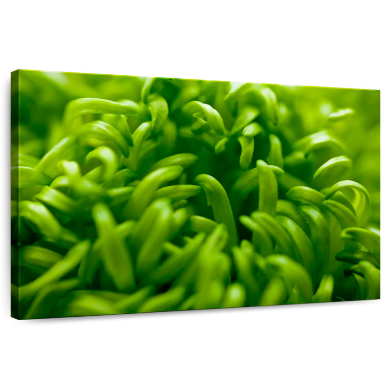 Harnek Lime Heart I, 26" H x 39" W
