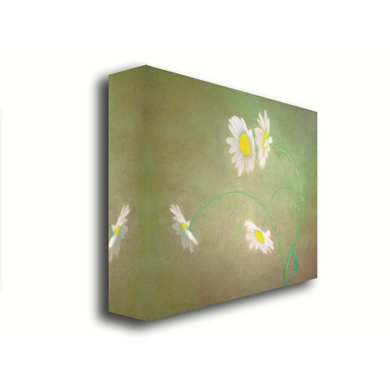 Wild Diasies by Hal Halli. Giclee Gallery Wrapped Canvas with Float Frame, Wrapped Canvas, Does Not Apply, 30" H x 45" W