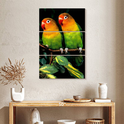 Brampt Vibrant Fischer's Lovebirds