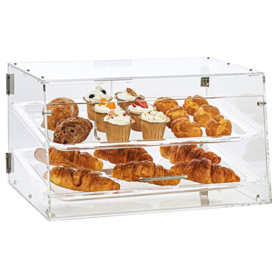 12'' H x 20.7'' W Plastic Display Case