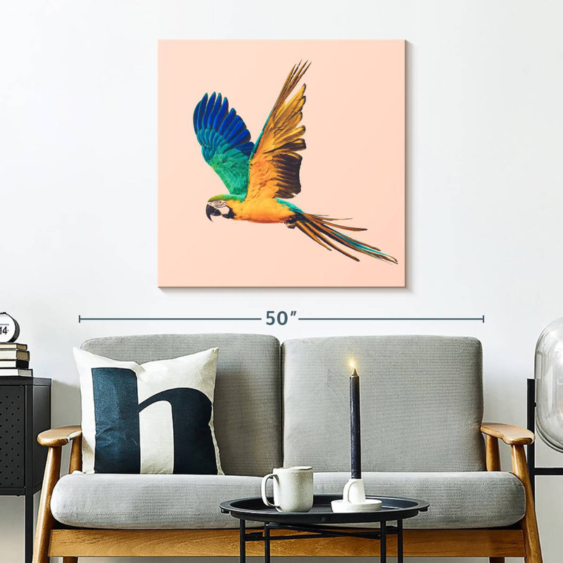 Brampt Macaw Parrot Flying