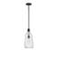 1 Polished Nickel Pendant-730522946