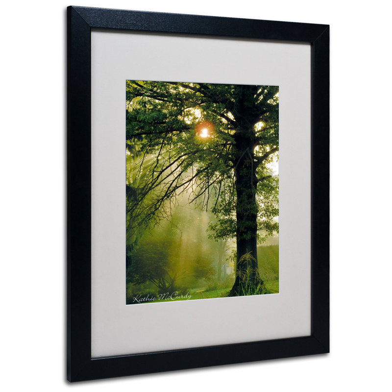 « magique tree » par kathie mccurdy,, reproduction de photo encadrée, Noir, H 14 po x l 11 po x P 0,5 po