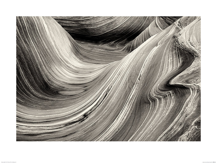 Print on Canvas, Paper