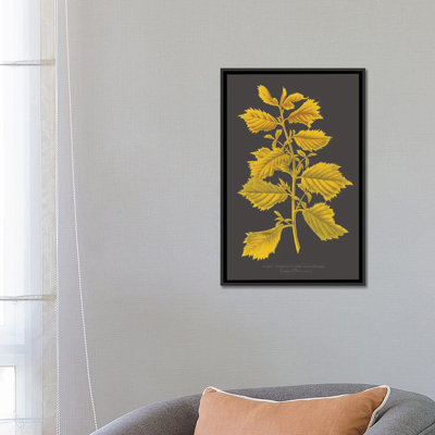" Trees & Leaves V " by Vision Studio