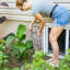 Treillis de jardin rustique en acier brun pour plantes grimpantes