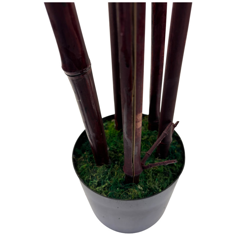 Arbre en bambou artificiel 49 po avec 6 troncs noirs en pot