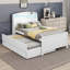 Lit Knepp-116740042