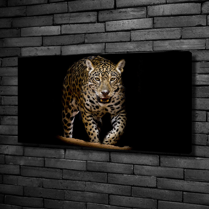 Jaguar - No Frame Print on Canvas