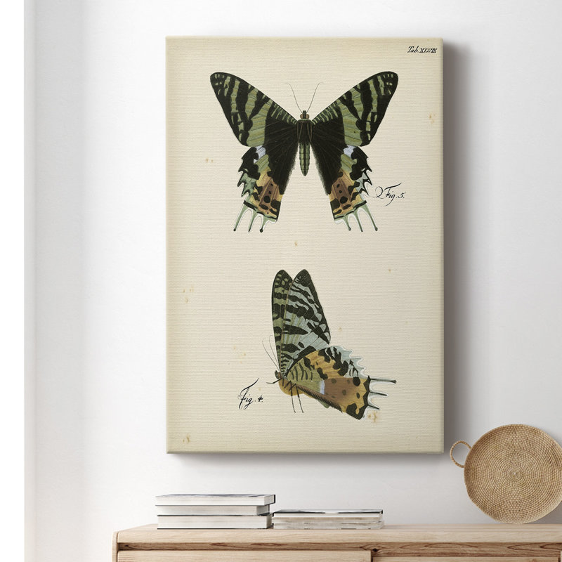 «Butterfly Profile III», impression sur toile tendue, H 60 po x l 40 po x P 1,5 po
