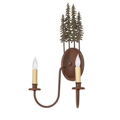 Shayvon Steel Armed Sconce
