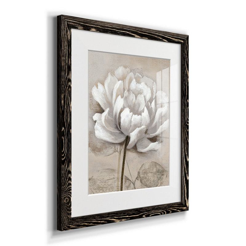 Doux blanc I - Cadre photo, reproduction d'art sur papier, H 20 po x l 17 po x P 1 po, Noir