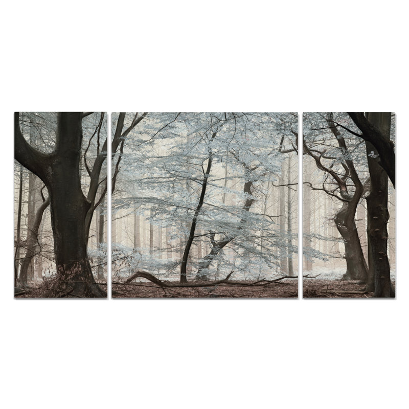 Silverwood-ensemble de 3 reproductions de photos sur toiles tendues, H 40 po x L 80 po x P 1,5 po