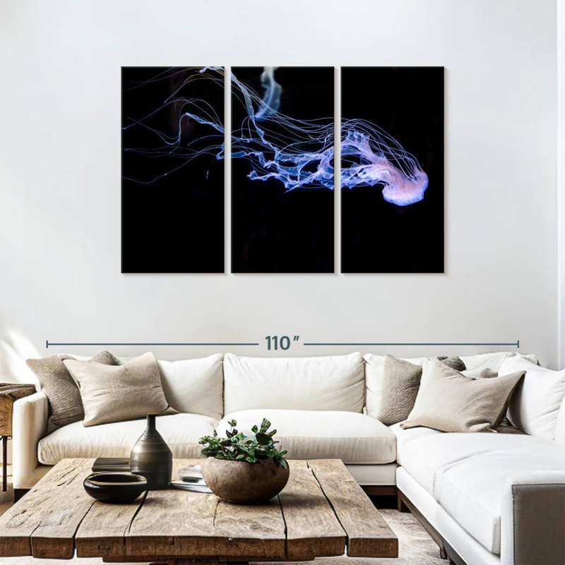 Atlantic Sea Nettle, 48" H x 74" W