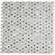 SAMPLE - Mother of Pearl Carved Dot Shell Random Sized Glass Mosaic Tile