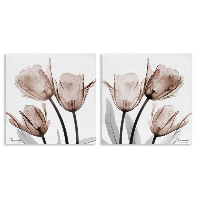 Ensemble de 2 tulipes translucides en fleurs translucides, design par Albert Koetsier, H 17 po x l 17 po