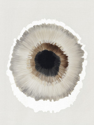 Eyeofsilence Print, Size, Format, Frame Color