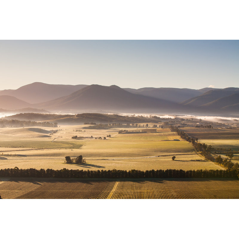 Yarra Valley View by FiledIMAGE - Wrapped Canvas Print, 61cm H x 91cm W