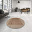 Oriental Indoor Rug-1871974864