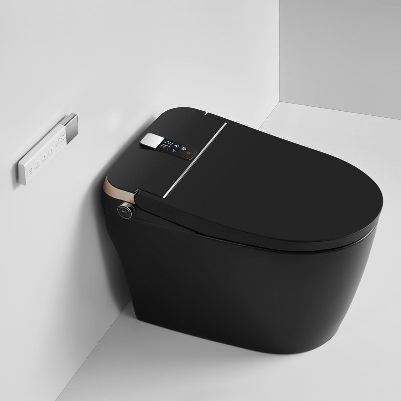 Aqua Gallery 1.27 Gallons GPF Elongated Chair Height Floor Mounted Bidet Toilet (Seat Included), Matte Black