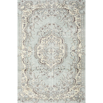 Derk Oriental Indoor Rug