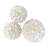 Everth 3 Piece Shell Balls Sculpture Set
