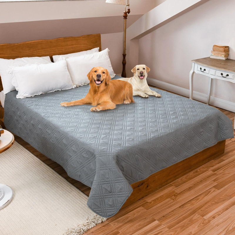 Pet Blanket, Beige