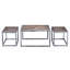 Ensemble de tables basses Agarita