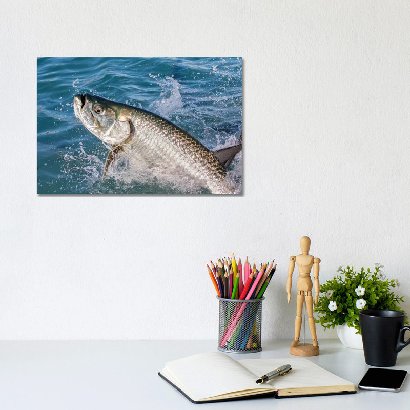 Florida Keys Tarpon 1 Piece Wrapped Canvas Wall Art, 20.32 cm H x 30.48 cm W