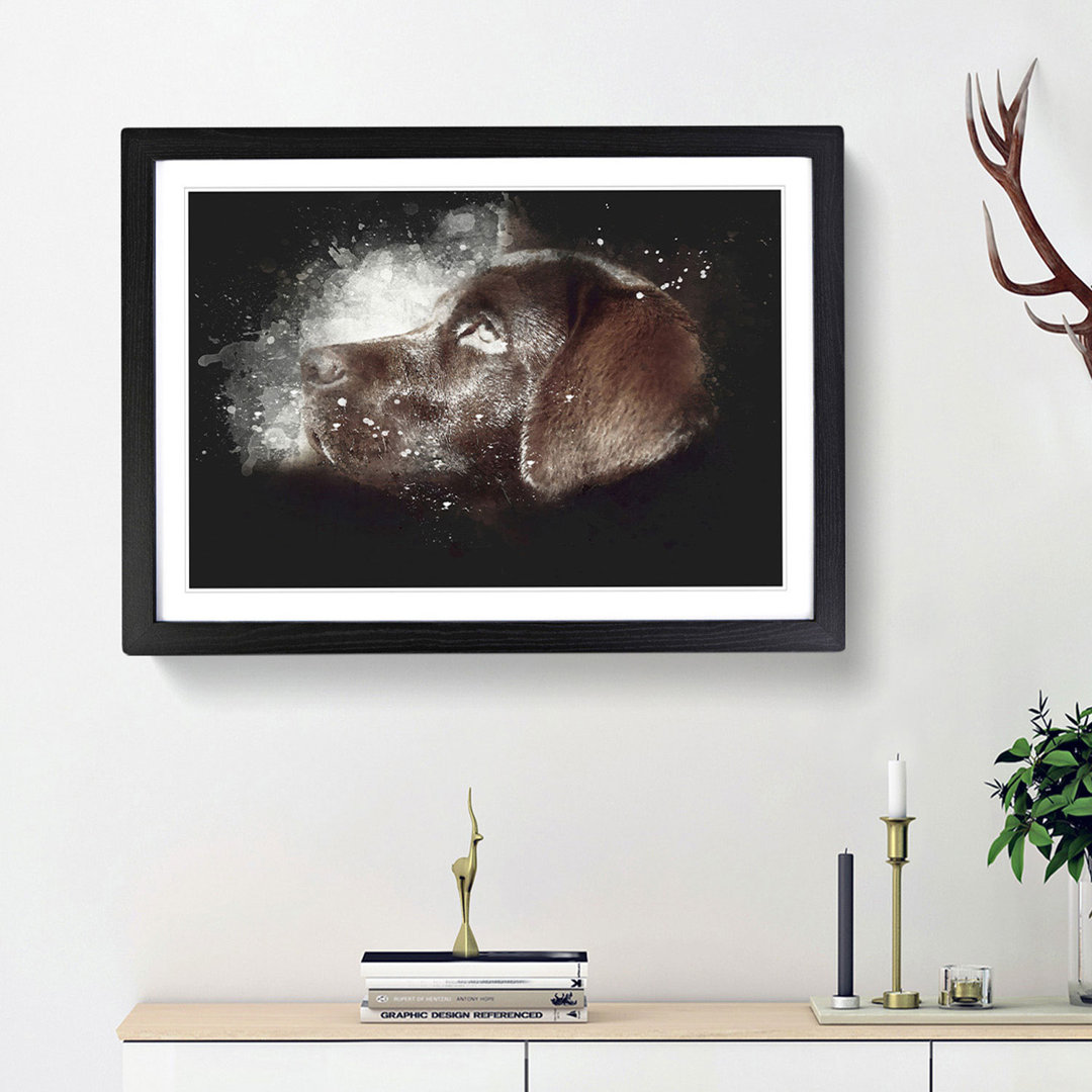 Chocolate Labrador Portrait - Framed Print