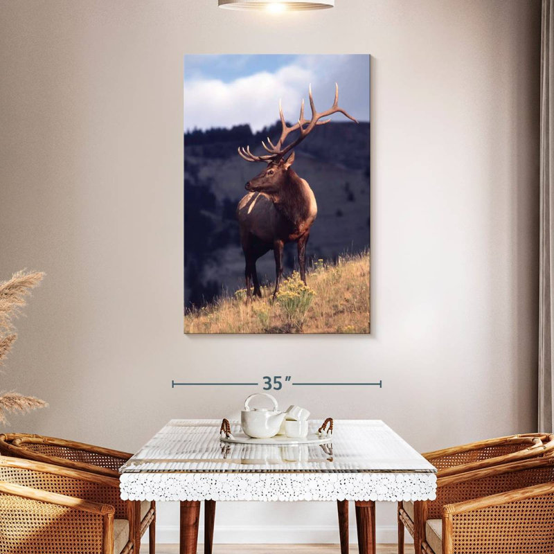 Wapiti de Brampt dans le Montana, H 48 po x l 32 po