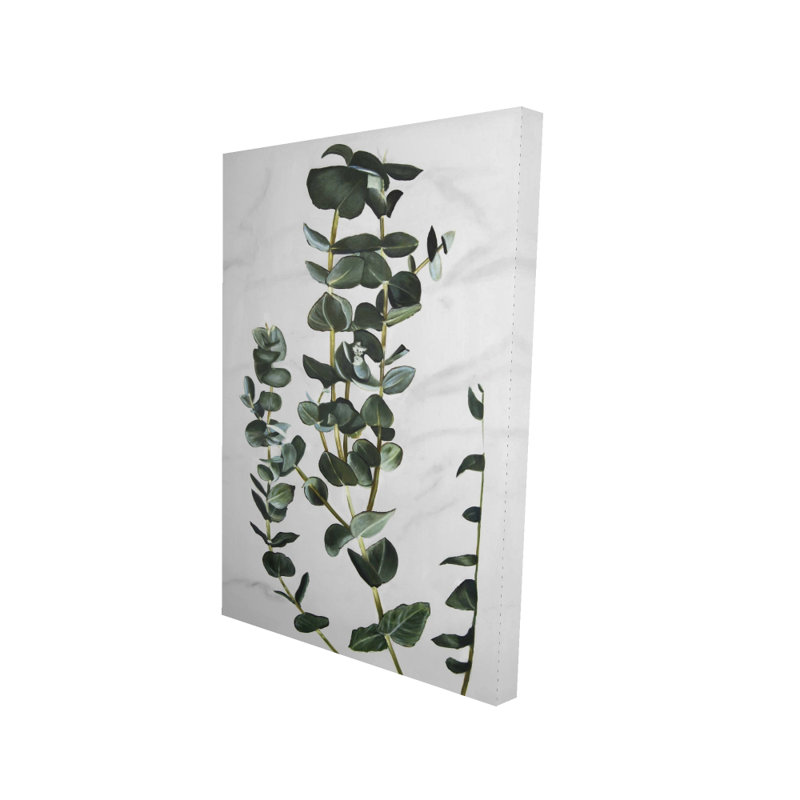 Tiges d'eucalyptus - Toile à feuilles vertes pour la décoration intérieure, H 36 po x l 24 po