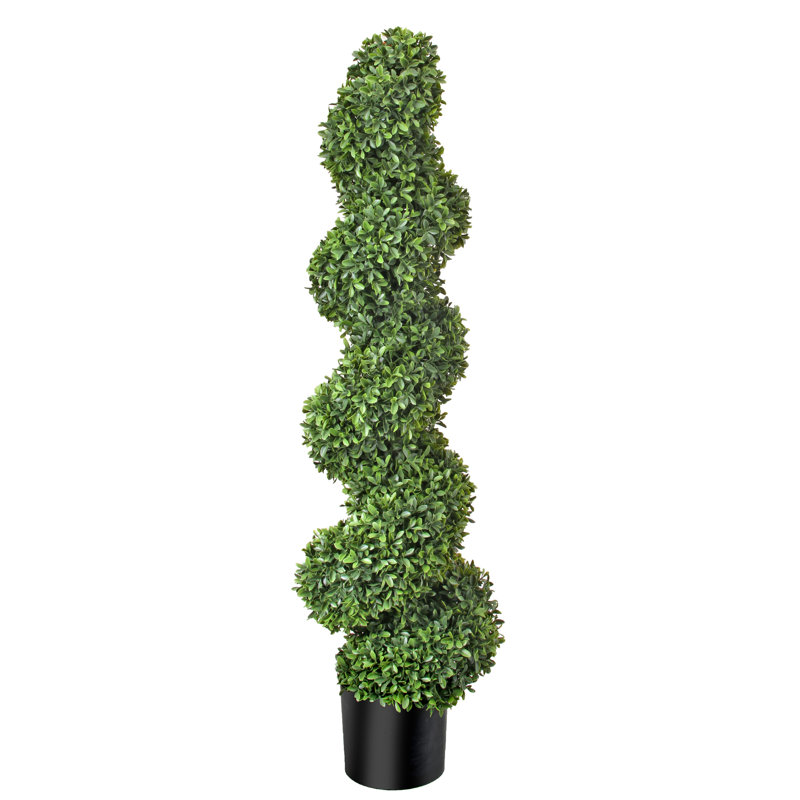 Topiaire de buis d'Amérique en pot, H 47 po x l 10 po x P 10 po