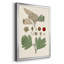 Feuilles et baies IV sur papier-88435450-88435449