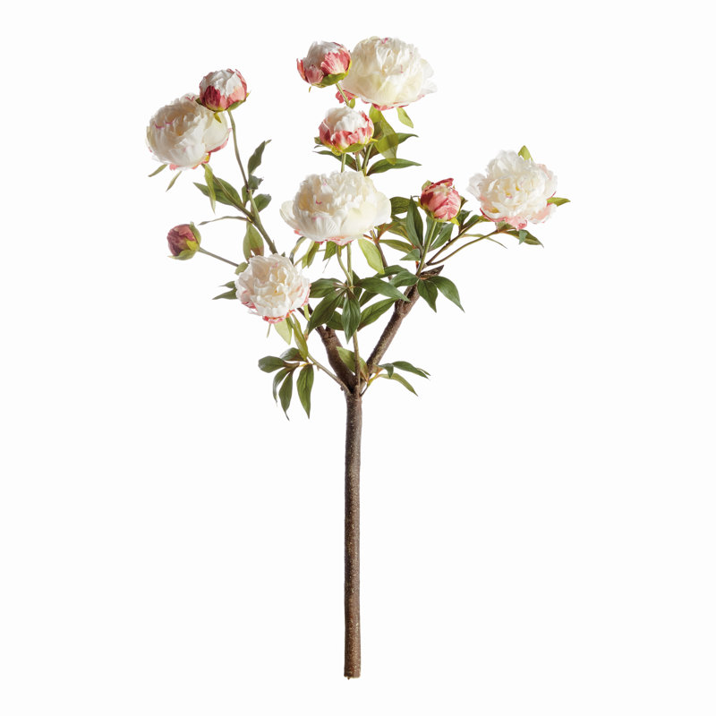 PEONY BRANCH 31 pouces, Crème, crème