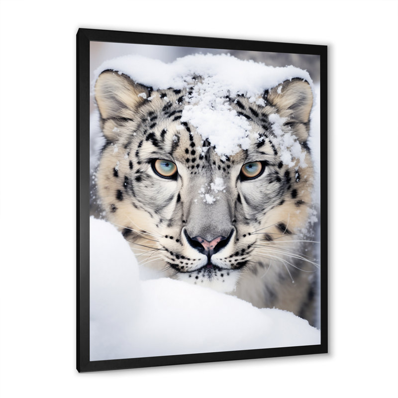 Tigre blanc en hiver I - impression, H 20 po x l 12 po x P 1 po, Cadre photo noir