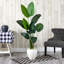 63'' Faux Banana Leaf Tree in Fiber Clay Planter