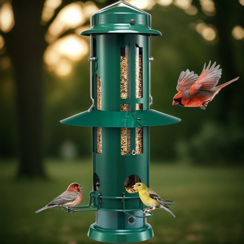 Mangeoire à oiseaux à l'épreuve des écureuils avec perchoirs activés par le poids, mangeoire extérieure en métal durable, grande capacité de 3 lb, conception transparente