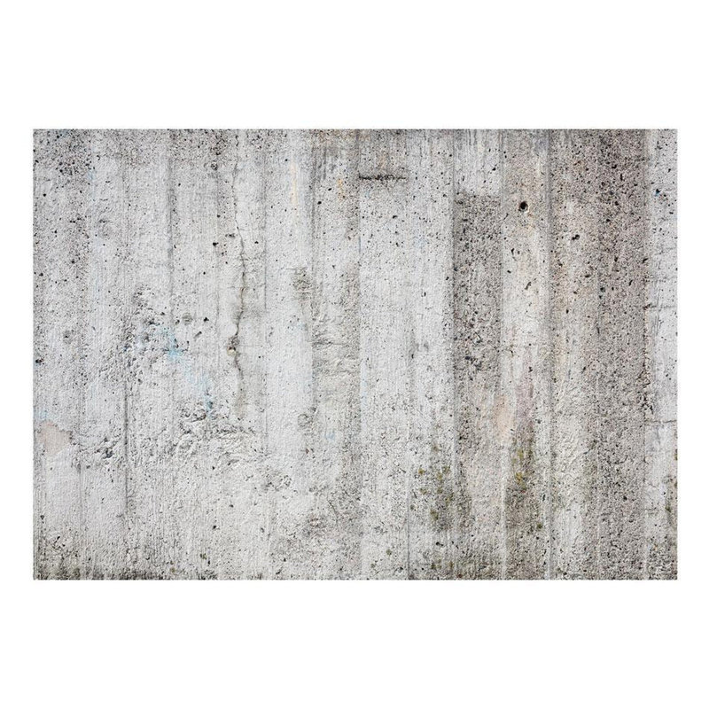 Murale en béton, L 82 po x l 118 po