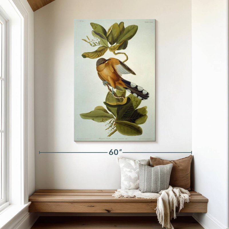 Brampt Mangrove Cuckoo, 48" H x 32" W