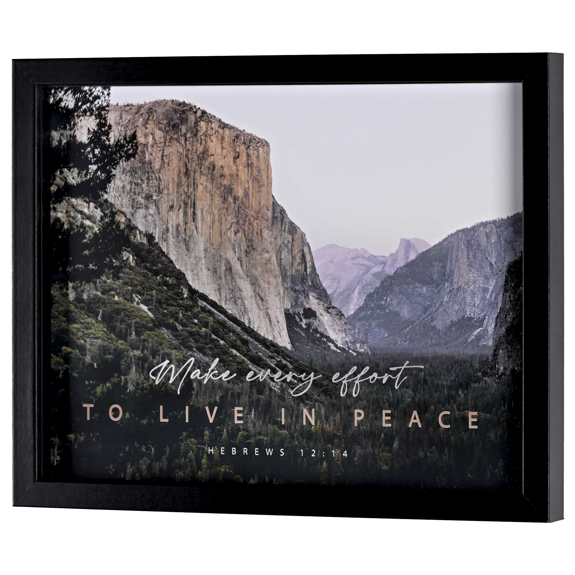 Millwood Pines Framed Wall Art Make Every Effort 14x11 | Wayfair