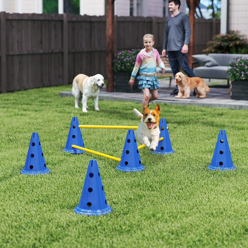30cm H Plastic Dog Agility