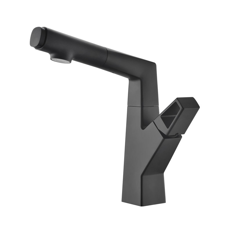 Robinet de salle de bain extractible à un trou, Noir mat