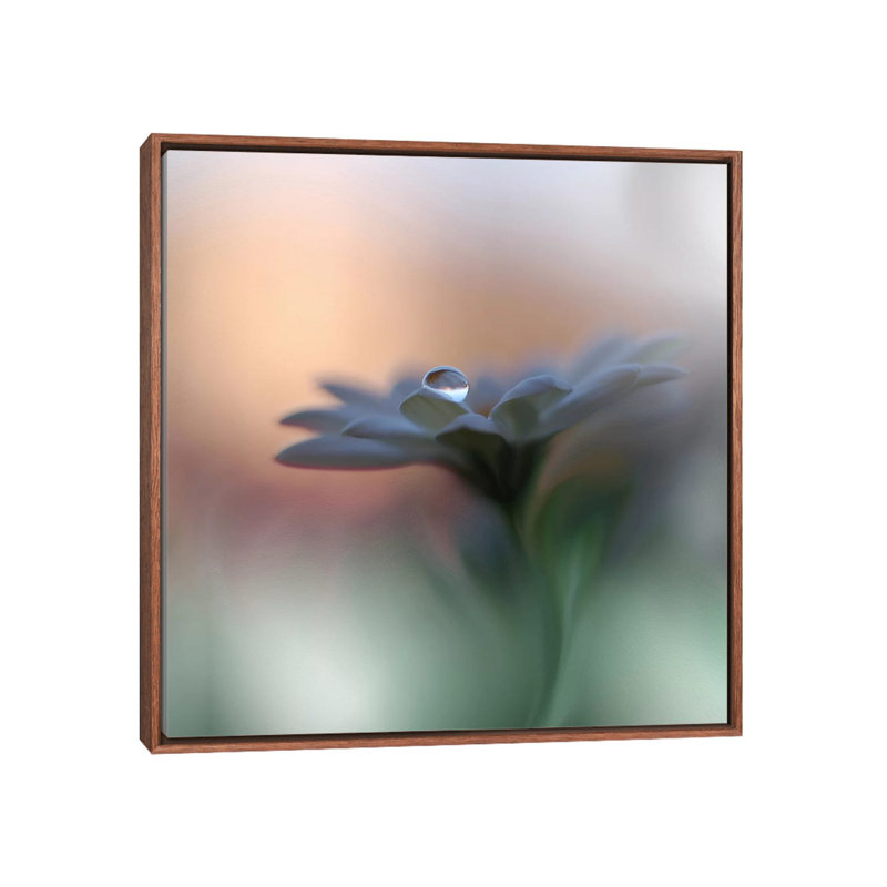 « Eyes of the Light » par Juliana Nan-reproduction de photo, H 26 po x l 26 po x P 1,5 po, Pas de tapis