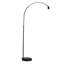 Rinnah 170cm Matte Traditional Floor Lamp
