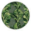  Tapis lavable légumes verts Collard-1753436319