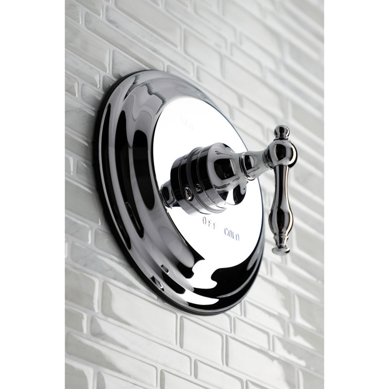 Robinet de douche à contrôle de température, Chrome poli