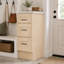Armoire de cuisine Design House, 18 po, bouleau brut-1650688284-1875038079